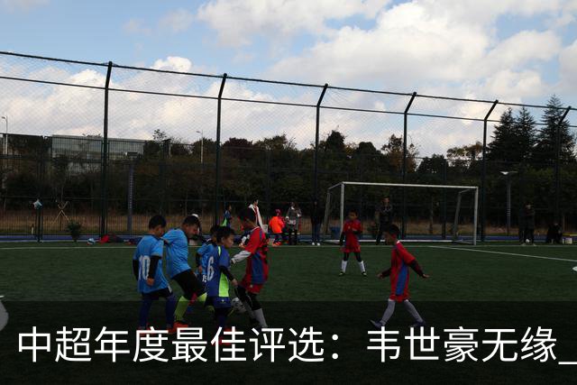 中超年度最佳评选：韦世豪无缘 30人入围金球奖5人争金帅