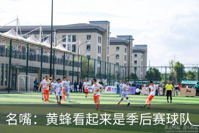 名嘴：黄蜂看起来是季后赛球队 米勒有望达到皮尔斯&双探花的级别