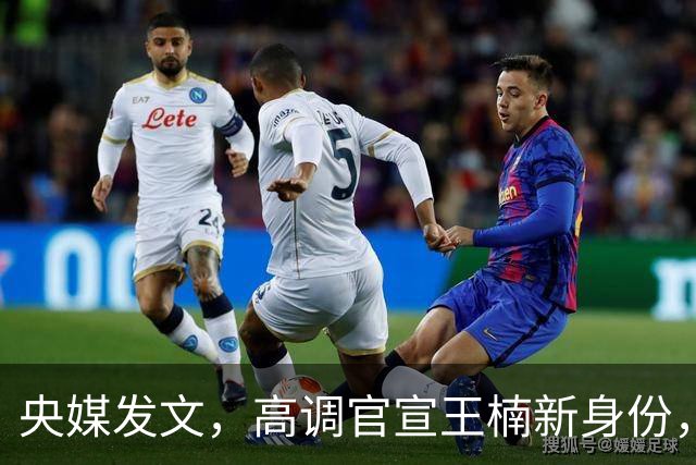 央媒发文，高调官宣王楠新身份，资产查封被带走调查传闻早有真相