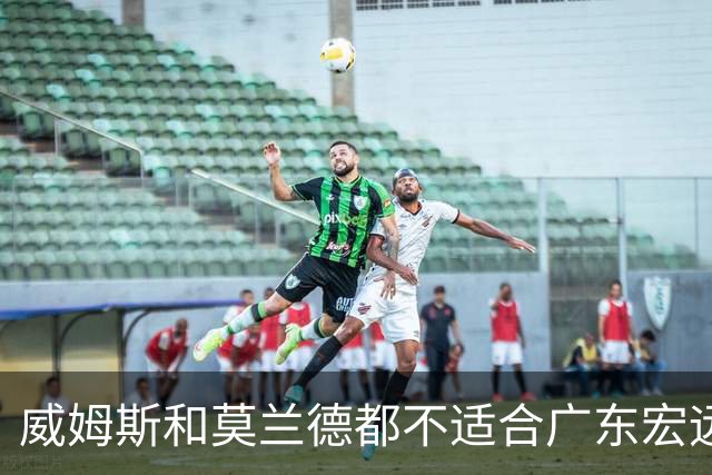威姆斯和莫兰德都不适合广东宏远，更换外援是最快解决问题的方法
