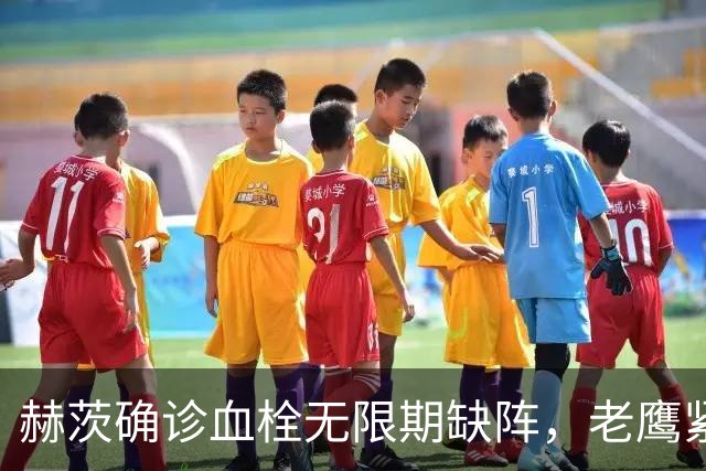 赫茨确诊血栓无限期缺阵，老鹰紧急从牛仔挖来替补四分卫
