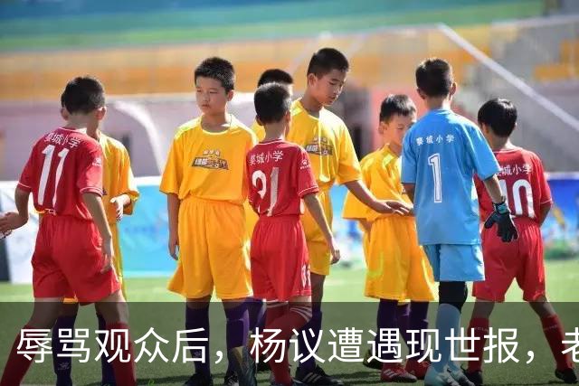 辱骂观众后，杨议遭遇现世报，老赖身份被扒，官方介入，演出下架